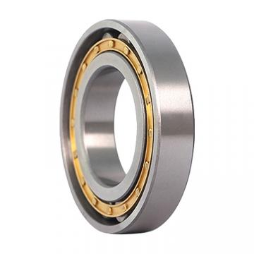 0.75 Inch | 19.05 Millimeter x 1 Inch | 25.4 Millimeter x 0.75 Inch | 19.05 Millimeter  CONSOLIDATED BEARING MI-12-N  Needle Non Thrust Roller Bearings