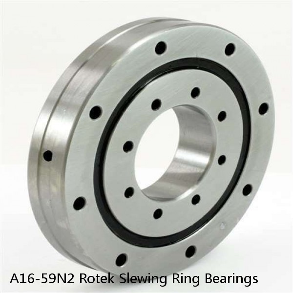 A16-59N2 Rotek Slewing Ring Bearings