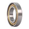 0.63 Inch | 16 Millimeter x 0.866 Inch | 22 Millimeter x 0.472 Inch | 12 Millimeter  CONSOLIDATED BEARING BK-1612  Needle Non Thrust Roller Bearings