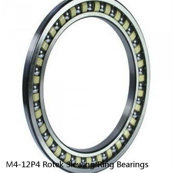 M4-12P4 Rotek Slewing Ring Bearings #1 small image
