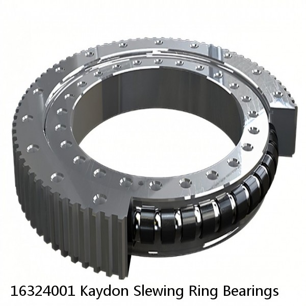 16324001 Kaydon Slewing Ring Bearings #1 small image