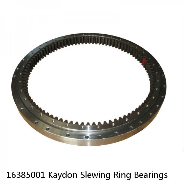16385001 Kaydon Slewing Ring Bearings #1 small image