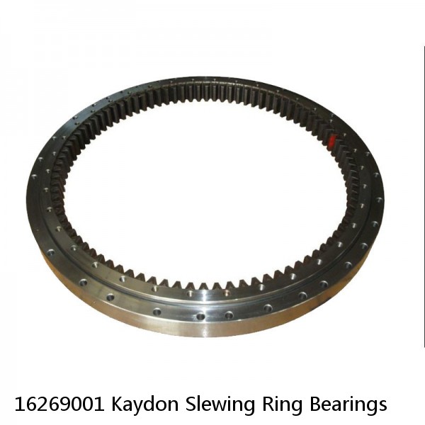 16269001 Kaydon Slewing Ring Bearings #1 image