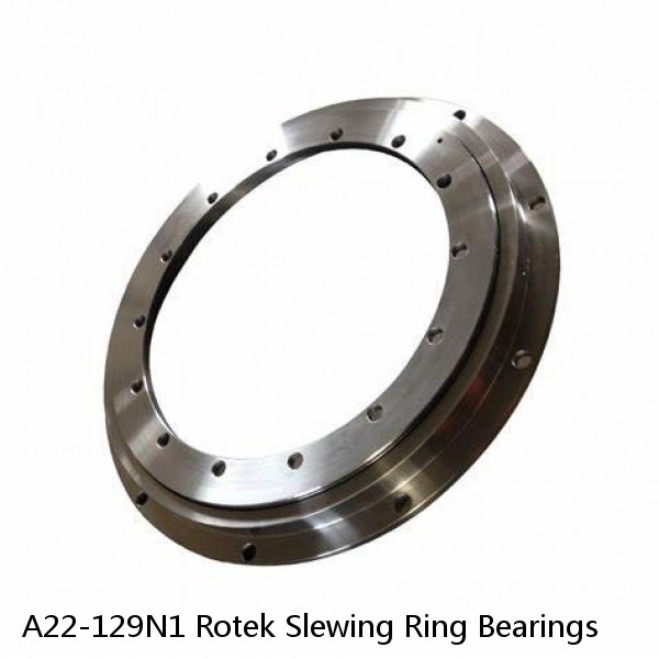 A22-129N1 Rotek Slewing Ring Bearings #1 image