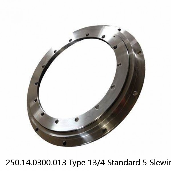 250.14.0300.013 Type 13/4 Standard 5 Slewing Ring Bearings #1 image