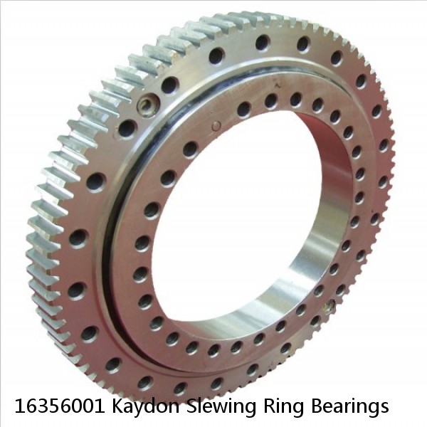 16356001 Kaydon Slewing Ring Bearings #1 image