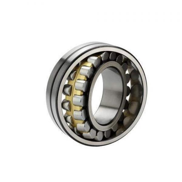 FAG NU224-E-M1-C3  Cylindrical Roller Bearings #1 image