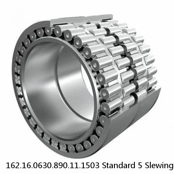 162.16.0630.890.11.1503 Standard 5 Slewing Ring Bearings #1 image
