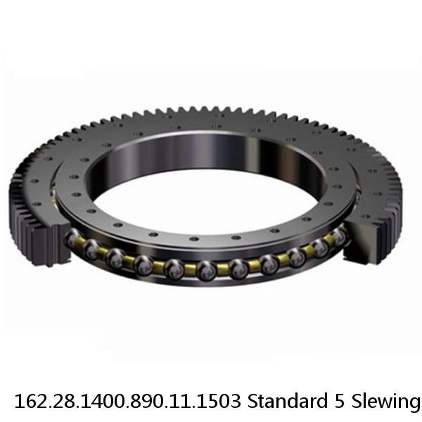 162.28.1400.890.11.1503 Standard 5 Slewing Ring Bearings #1 image