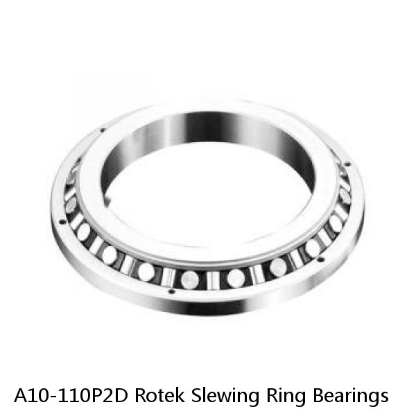 A10-110P2D Rotek Slewing Ring Bearings #1 image