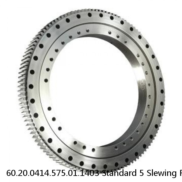 60.20.0414.575.01.1403 Standard 5 Slewing Ring Bearings #1 image