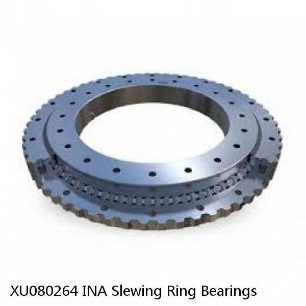 XU080264 INA Slewing Ring Bearings #1 image