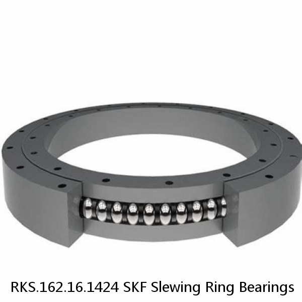 RKS.162.16.1424 SKF Slewing Ring Bearings #1 image